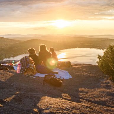 Exploring nature&#39;s beauty through lenses